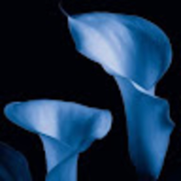 carlenegrant6